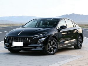 红旗EQM5续航500km/431km